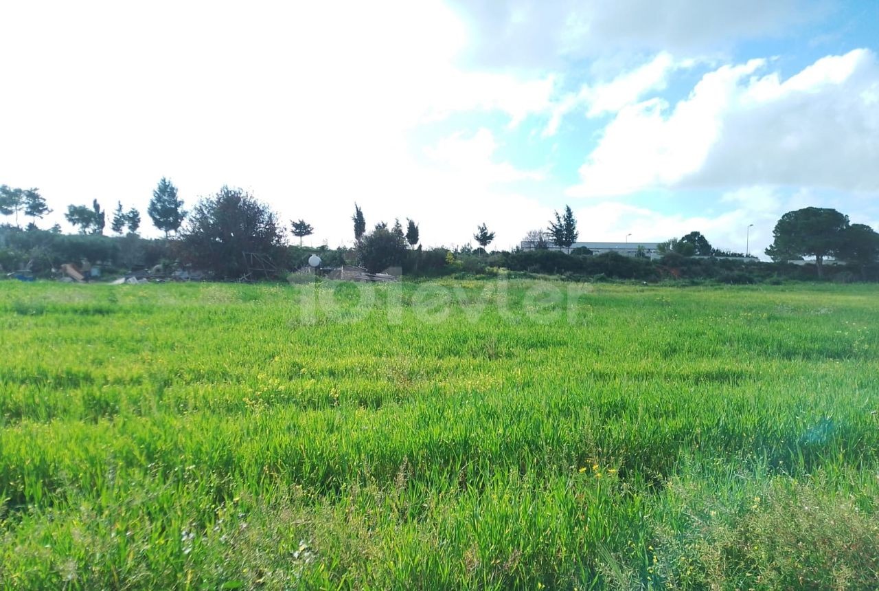 2 acres 600Ay2 Field with sea view and zoned for sale in Yeni Erenköy