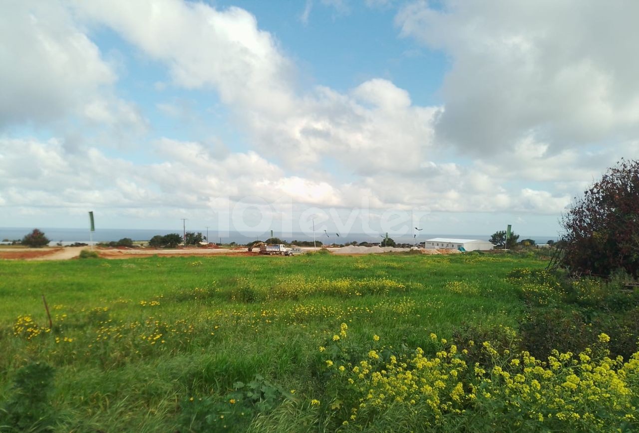 2 acres 600Ay2 Field with sea view and zoned for sale in Yeni Erenköy