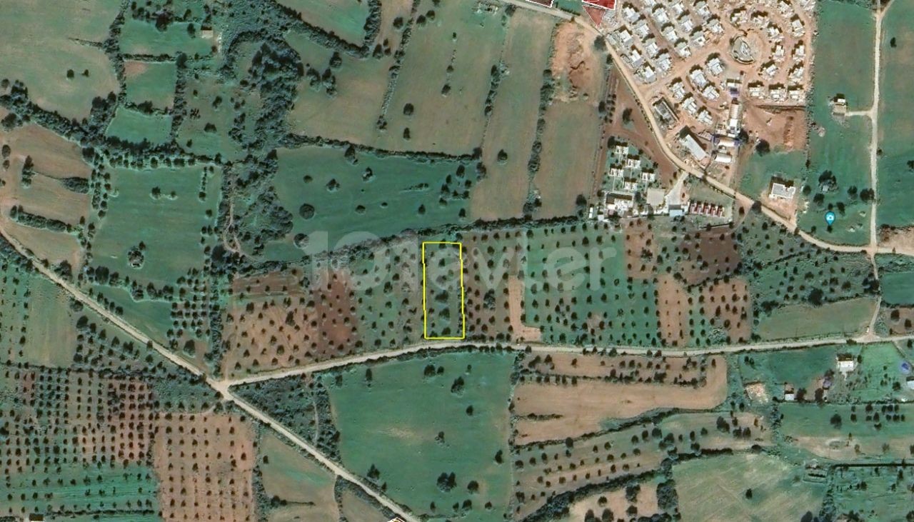 2 acres 1 house land for sale in Dipkarpaz