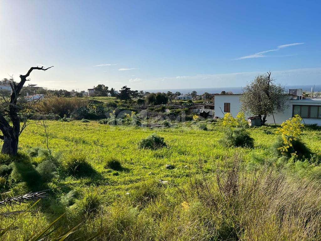 Zoned 1 acre 2 houses land for sale in Yeni Erenköy