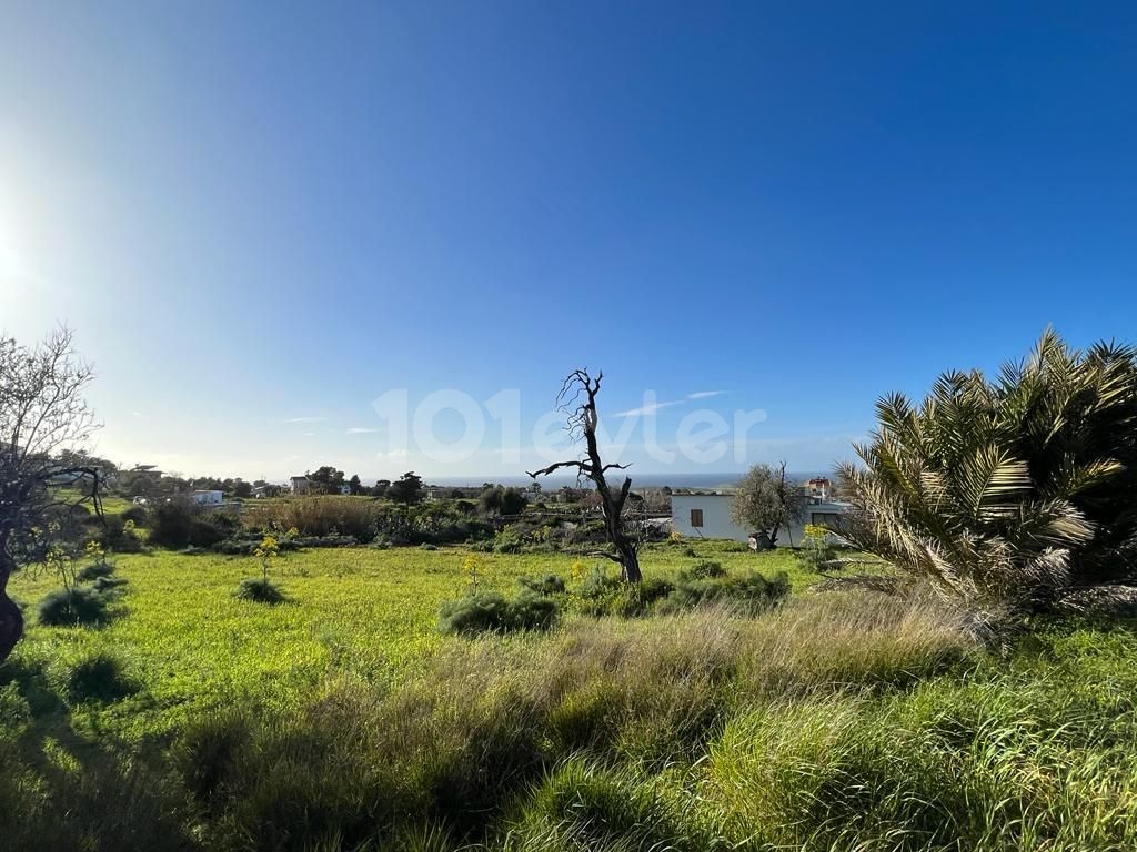 Zoned 1 acre 2 houses land for sale in Yeni Erenköy