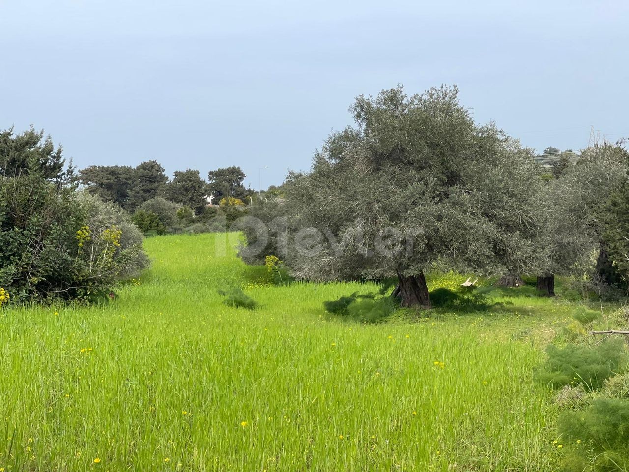 Field to Realize Your Dreams in Yeni Erenköy: Sea View and Zoning!"