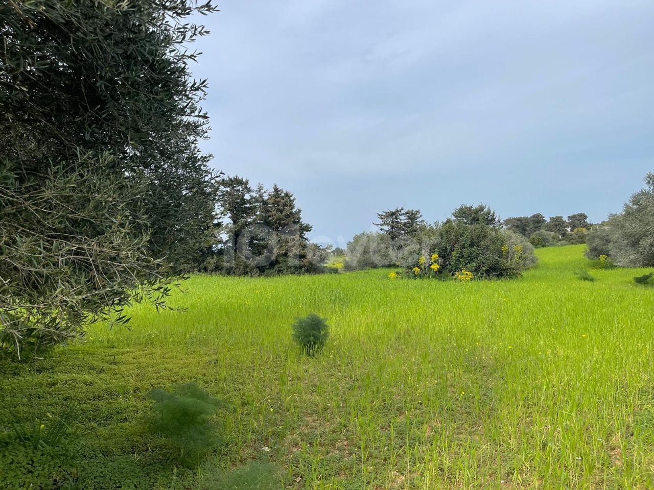 In der Natur, Meerblick 3 Hektar zoniert Feld zu verkaufen!