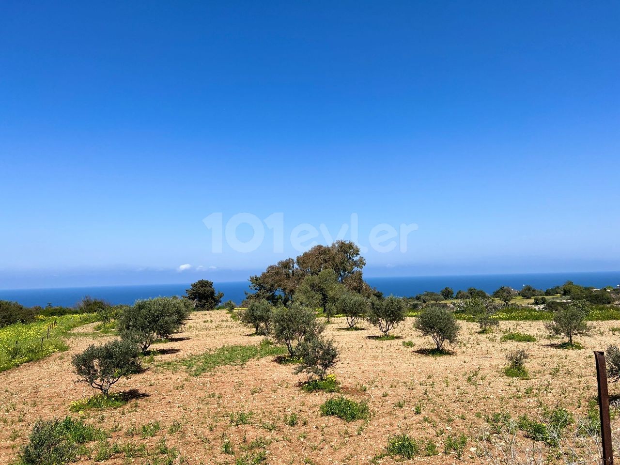 2 ACRES OF LAND FOR SALE IN ISKELE-SIPAHI 