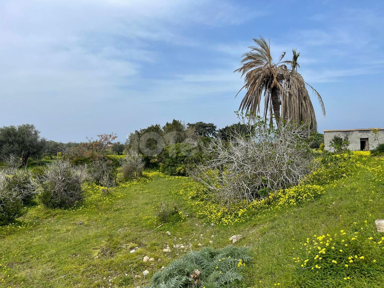 A Peaceful Life in Nature with Sea View Land is Waiting for You in Yeni Erenköy!