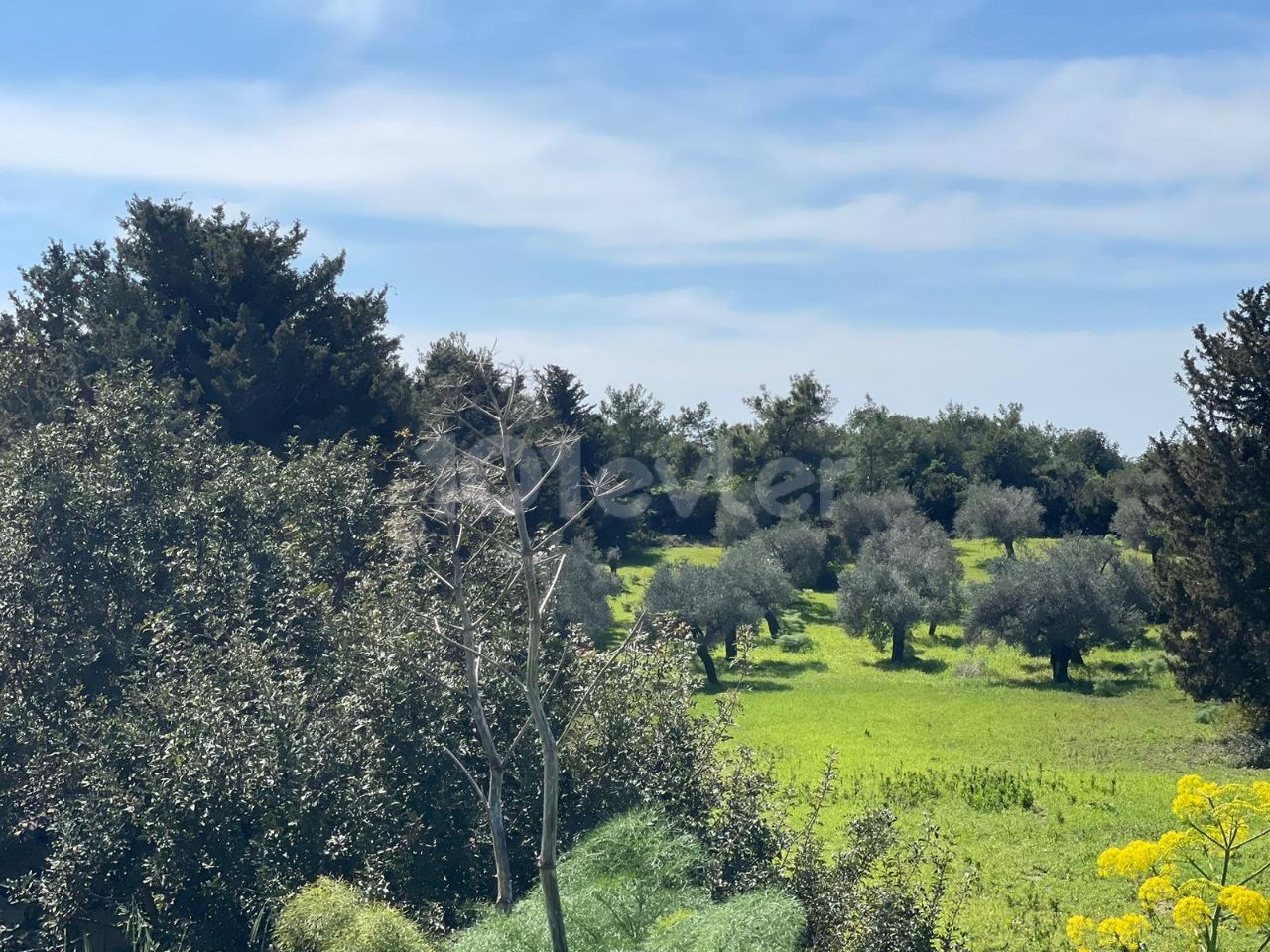 Yeni Erenköy'de İmarlı Yolu ve Tam Alt Yapısı Olan 5 Dönümlük Muhteşem Deniz Manzaralı Arazi