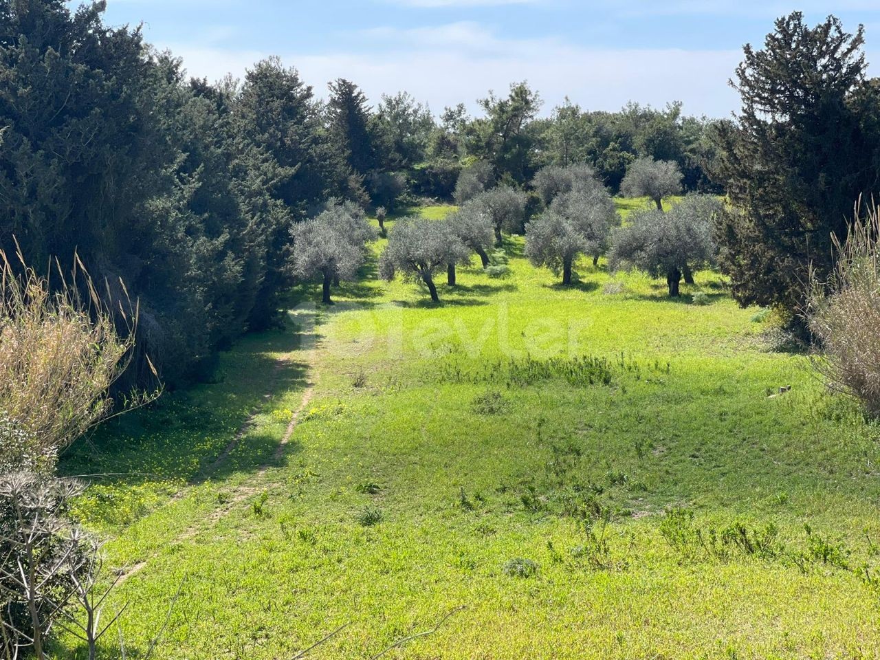 Yeni Erenköy'de İmarlı Yolu ve Tam Alt Yapısı Olan 5 Dönümlük Muhteşem Deniz Manzaralı Arazi