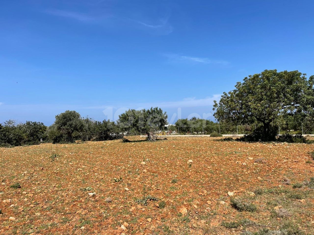 4 Acres 2 Häuser von Land zu verkaufen in Yeni Erenköy 