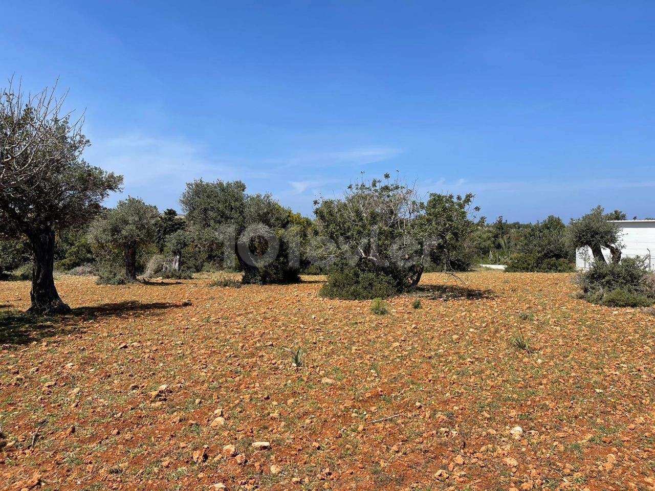 4 Acres 2 Häuser von Land zu verkaufen in Yeni Erenköy 