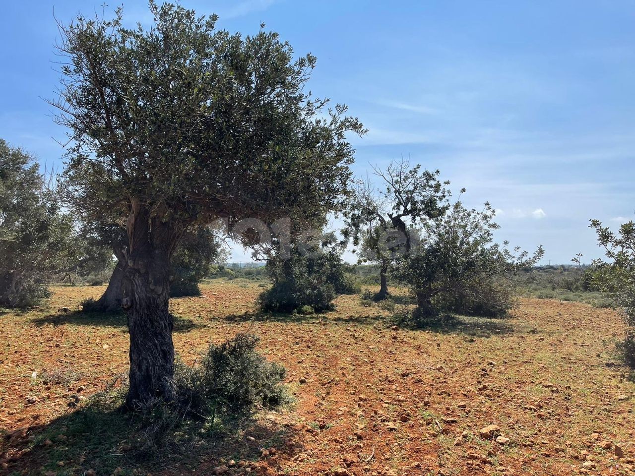 4 Acres 2 Häuser von Land zu verkaufen in Yeni Erenköy 