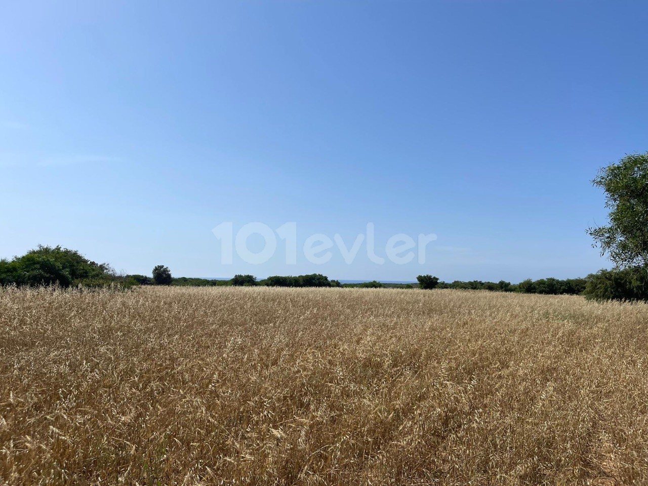 Eine Ecke himmlischen Landes an der neuen Straße mit Meerblick in Erenköy ❗️❕