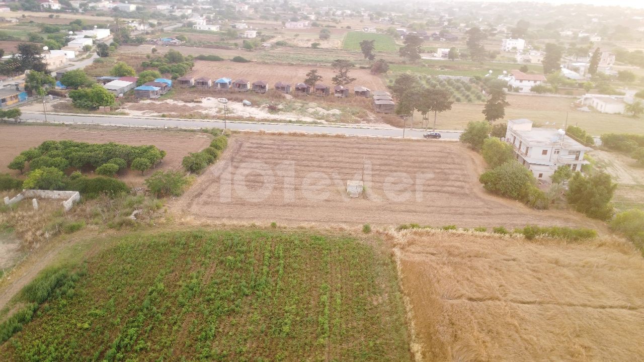 LAND FOR SALE IN DIPKARPAZ, WITH 2 DECORATIONS OF 3 HOUSES