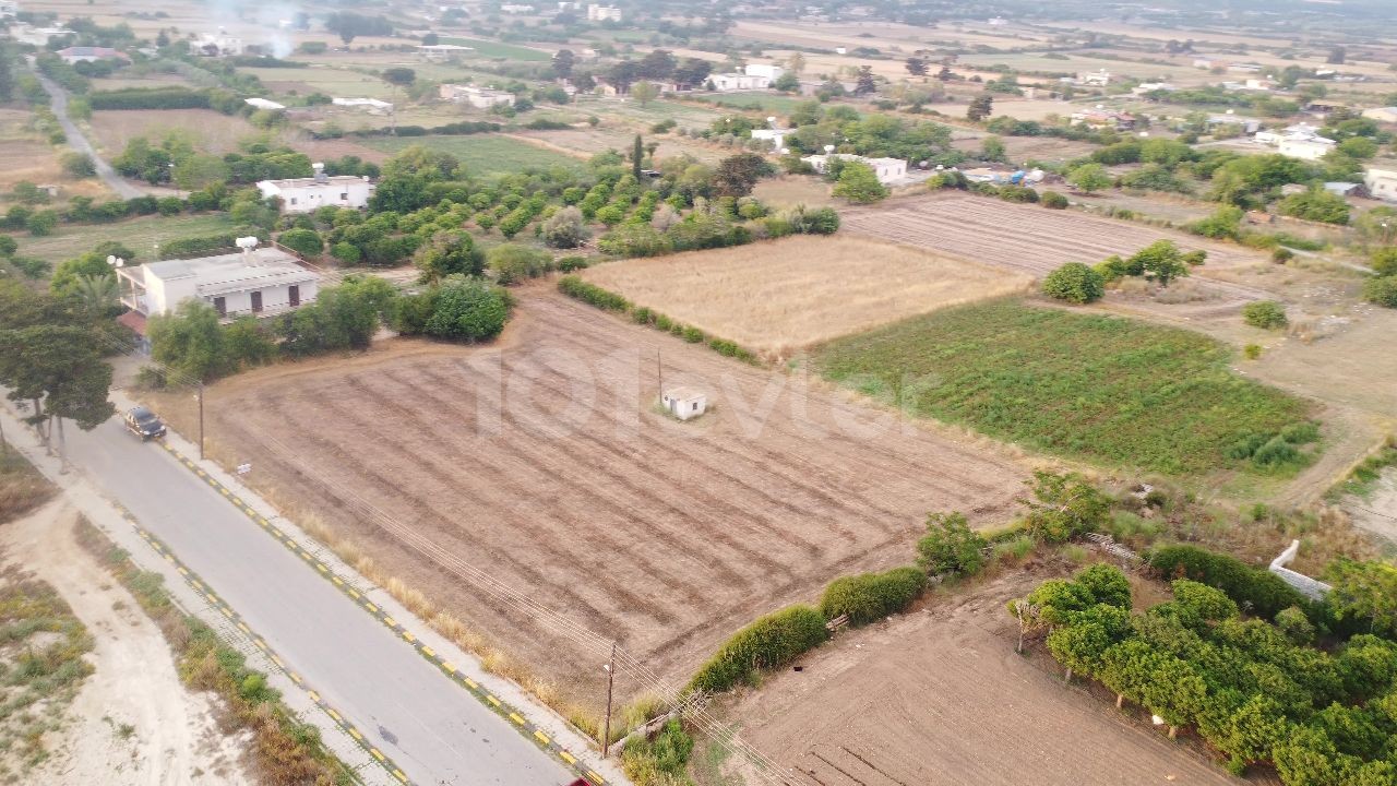 GRUNDSTÜCK ZUM VERKAUF IN DIPKARPAZ, MIT 2 DEKORATIONEN VON 3 HÄUSERN