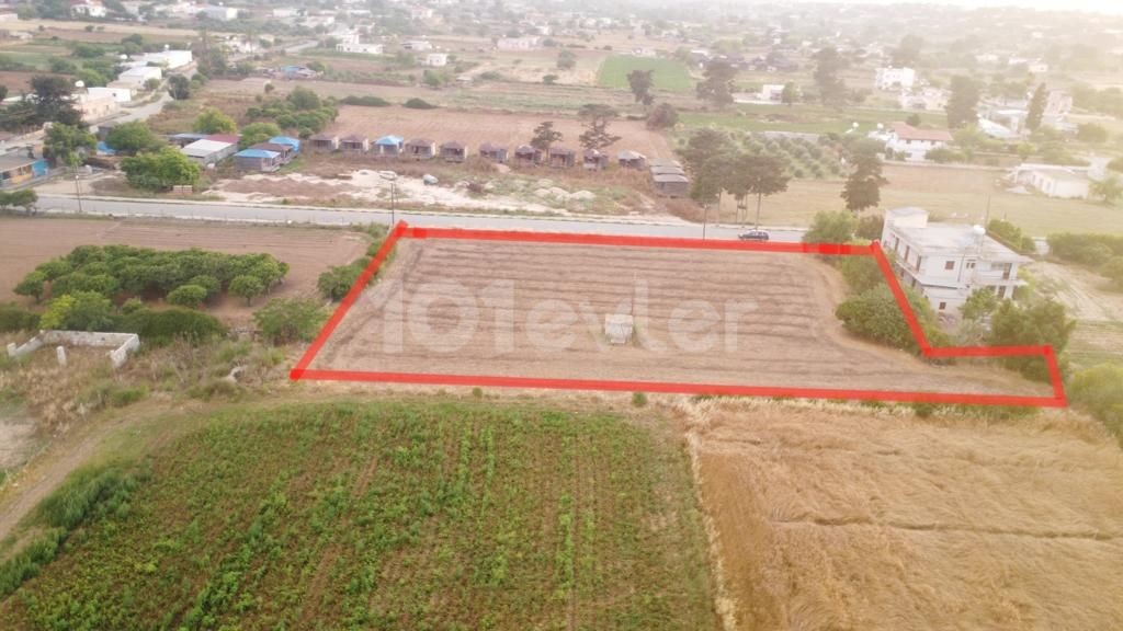 LAND FOR SALE IN DIPKARPAZ, WITH 2 DECORATIONS OF 3 HOUSES