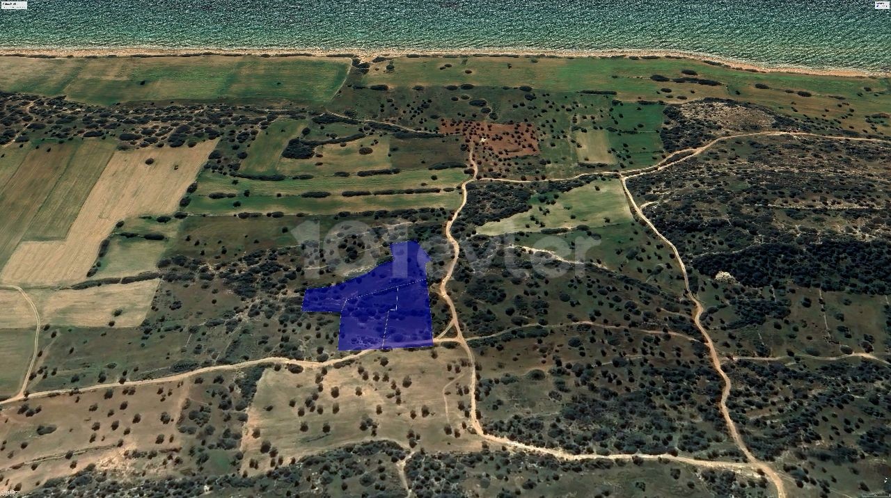 8 Decares of 1 Evlek Investment Land For Sale In Derince Village 400 Meters From The Sea!!!