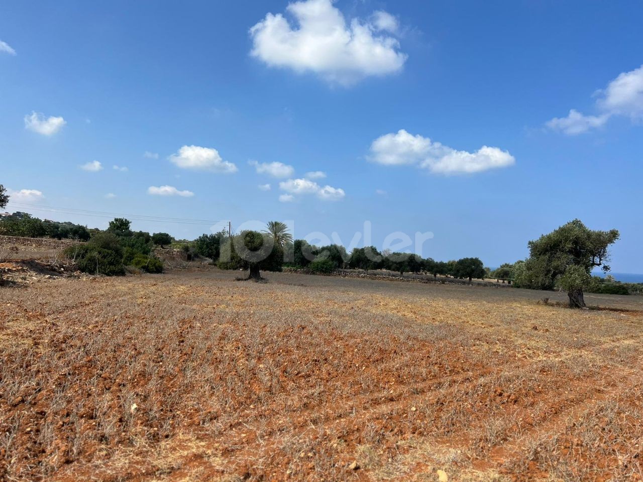 3 Hektar großes 2-Evlek-Land mit Zonenbebauung und Meerblick zum Verkauf in Yeni Erenköy