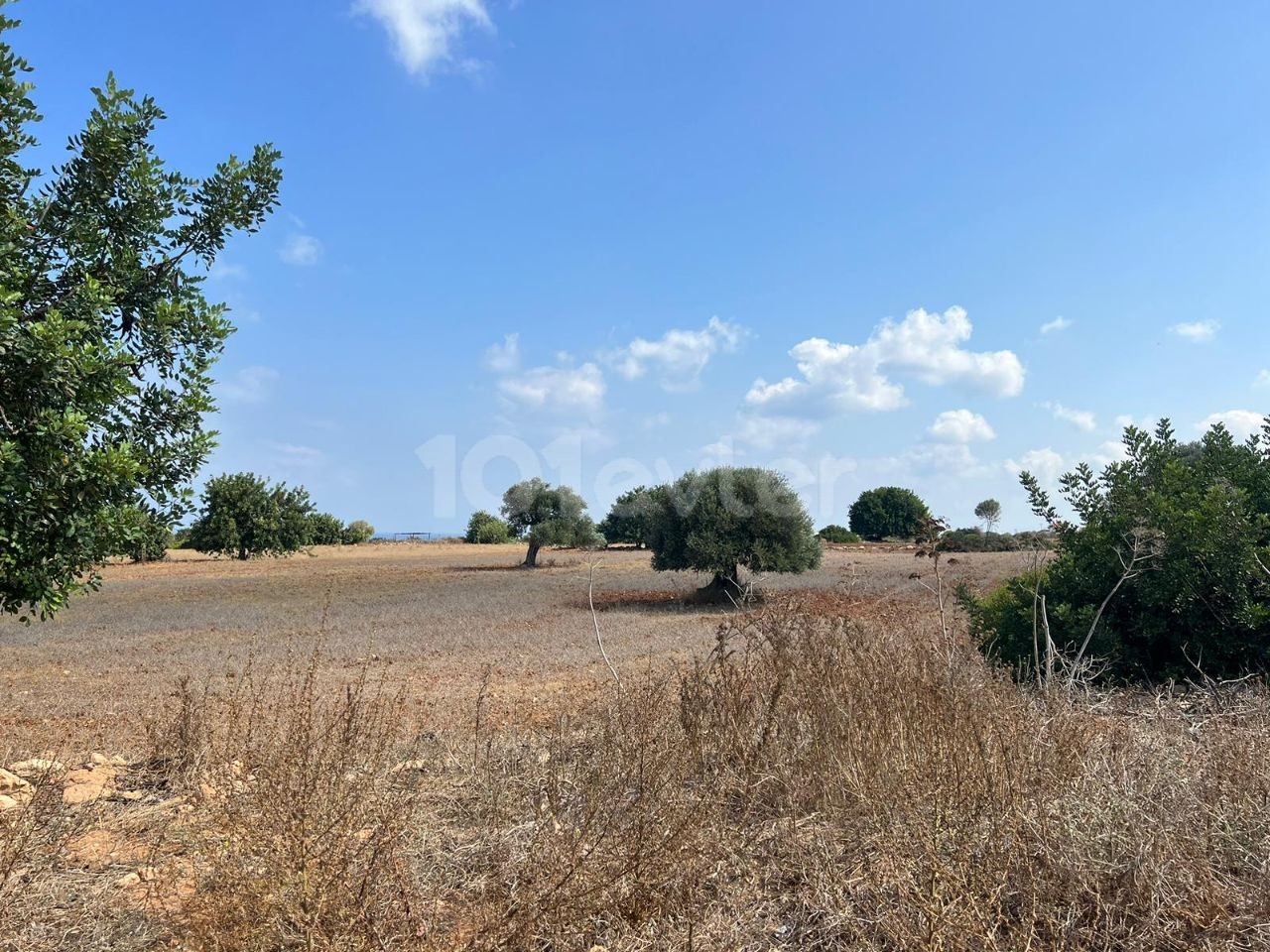 3 Hektar großes 2-Evlek-Land mit Zonenbebauung und Meerblick zum Verkauf in Yeni Erenköy