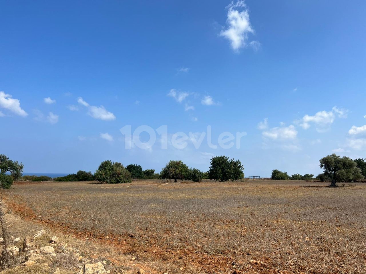 3 Hektar großes 2-Evlek-Land mit Zonenbebauung und Meerblick zum Verkauf in Yeni Erenköy