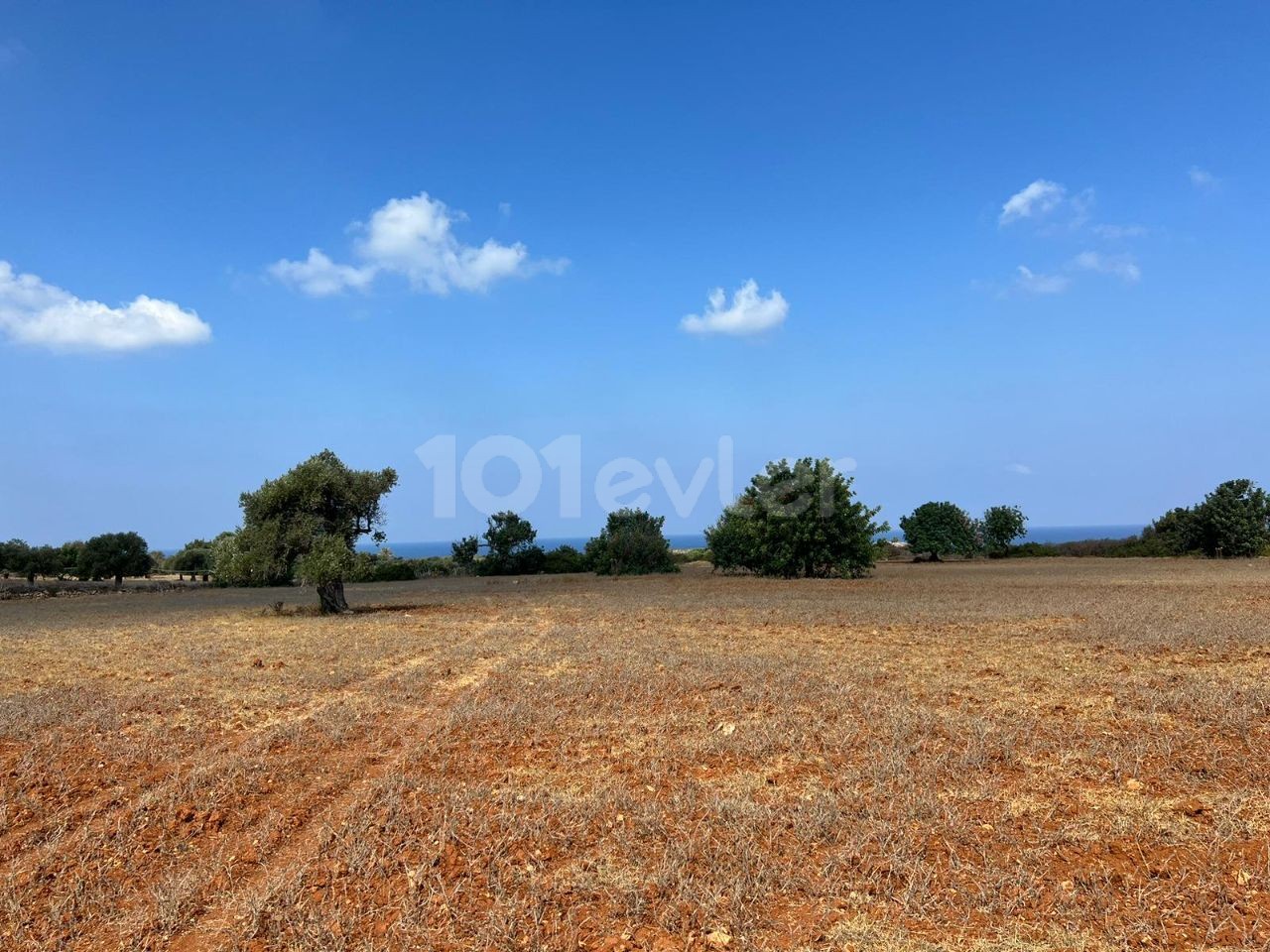 3 Hektar großes 2-Evlek-Land mit Zonenbebauung und Meerblick zum Verkauf in Yeni Erenköy