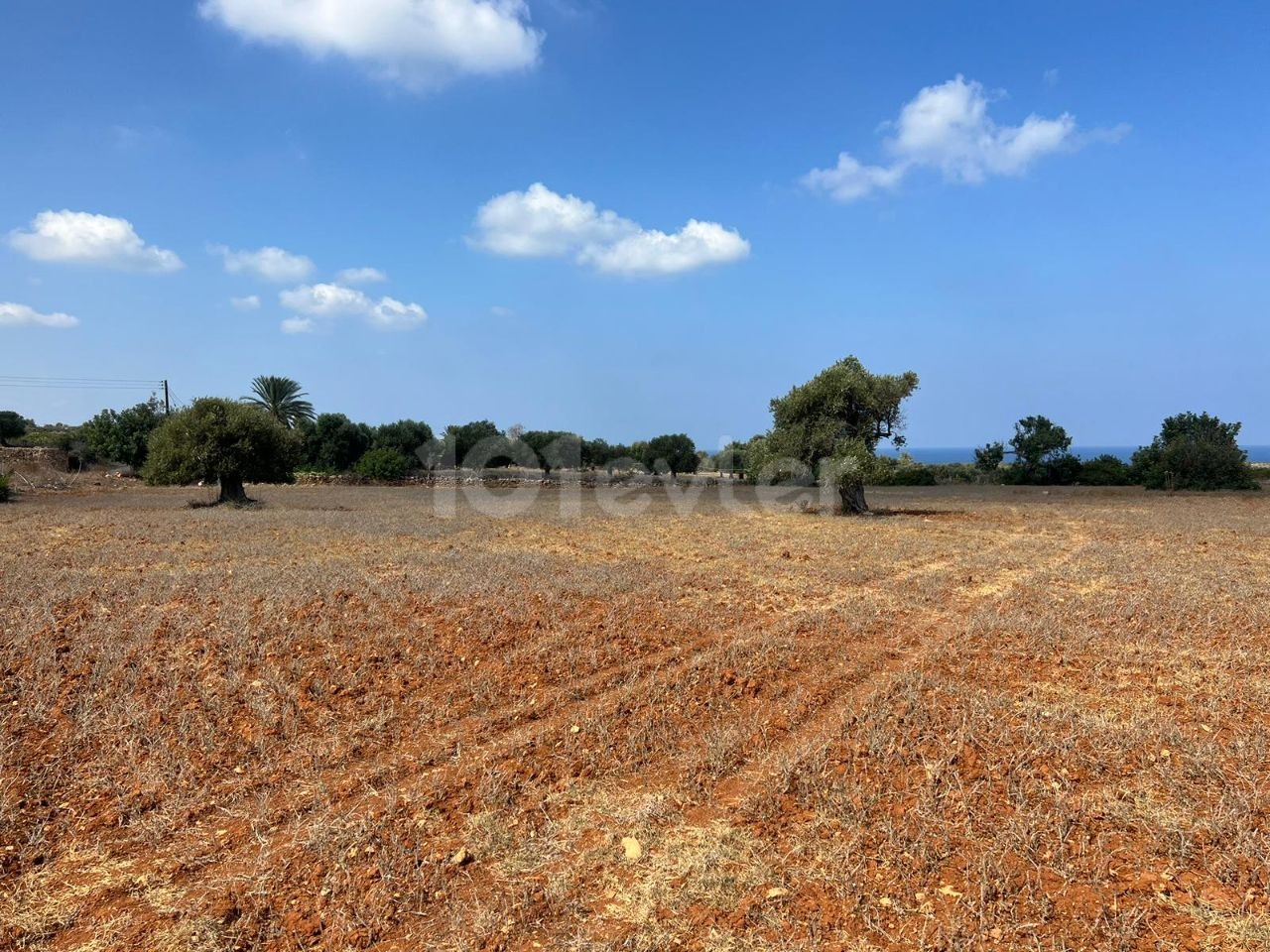 3 Hektar großes 2-Evlek-Land mit Zonenbebauung und Meerblick zum Verkauf in Yeni Erenköy