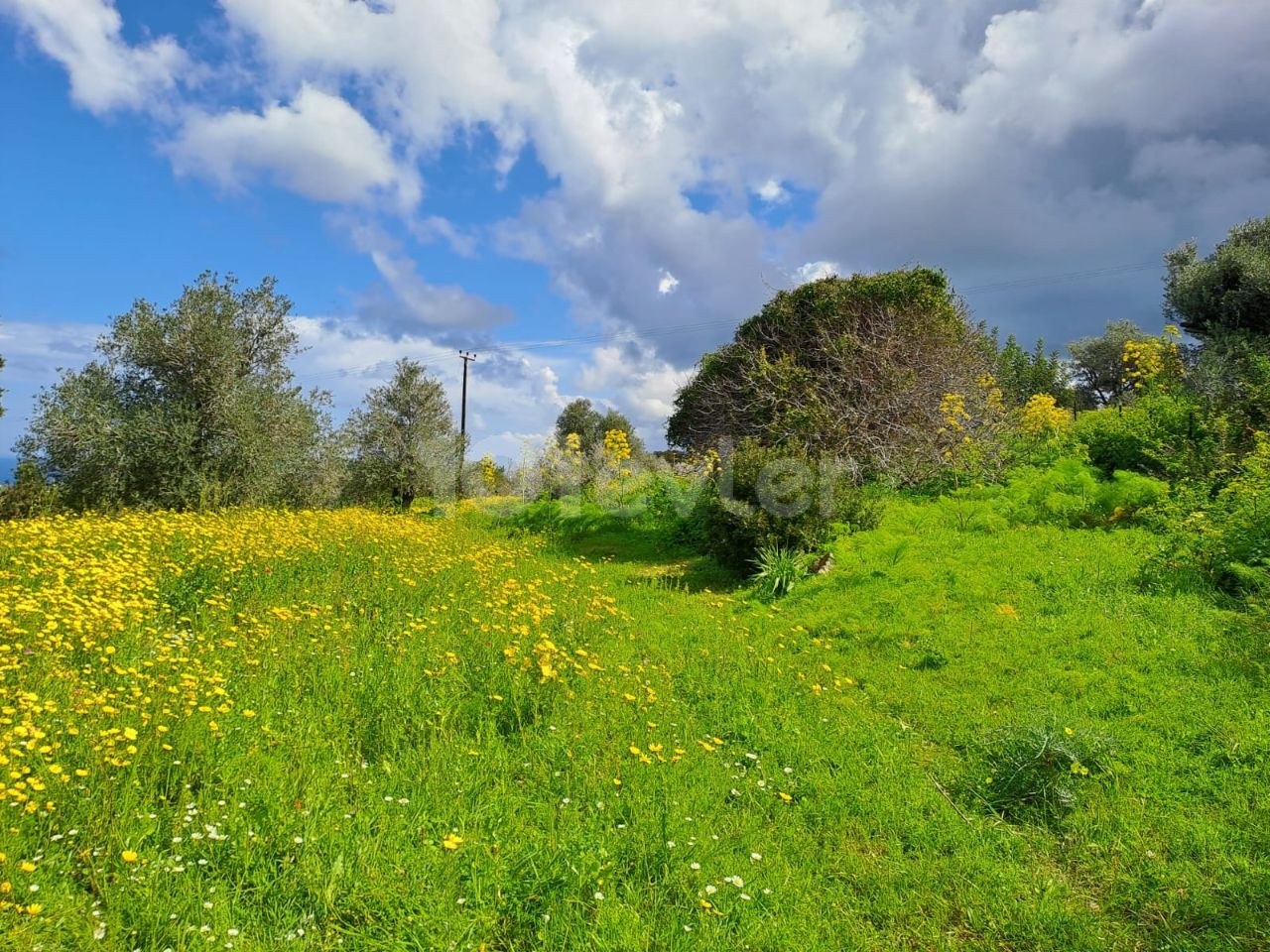 1 Dekar-Grundstück mit Zonenbebauung und Meerblick zum Verkauf in Sipahi