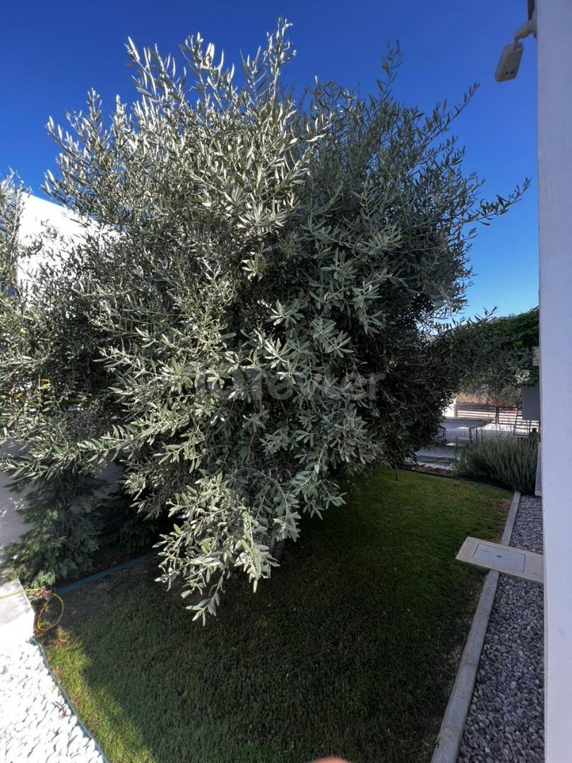 VOLLSTÄNDIG MÖBLIERTE 3+1 LUXUSVILLA ZUM VERKAUF IN ZYPERN GIRNE OLIVE GROVE REGION MIT SEINEM HERRLICHEN GARTEN UND LAGE IN INTEX MIT NATUR