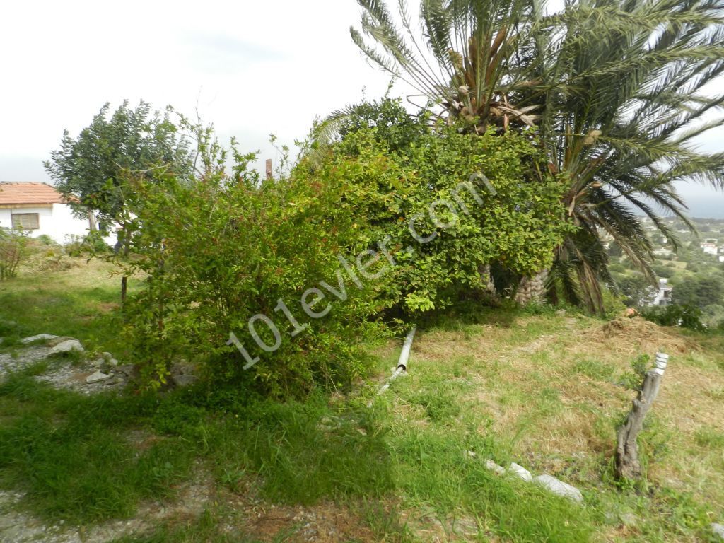 Detached House For Sale in Karşıyaka, Kyrenia