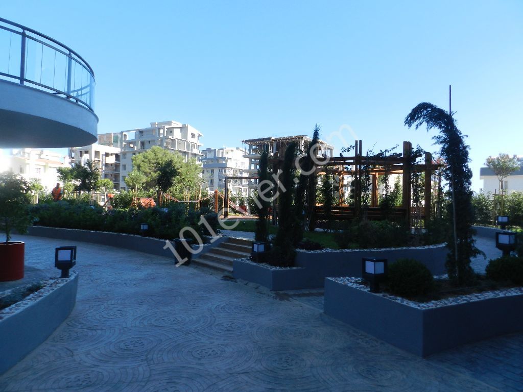 تخت برای فروش in Girne Merkez, گیرنه