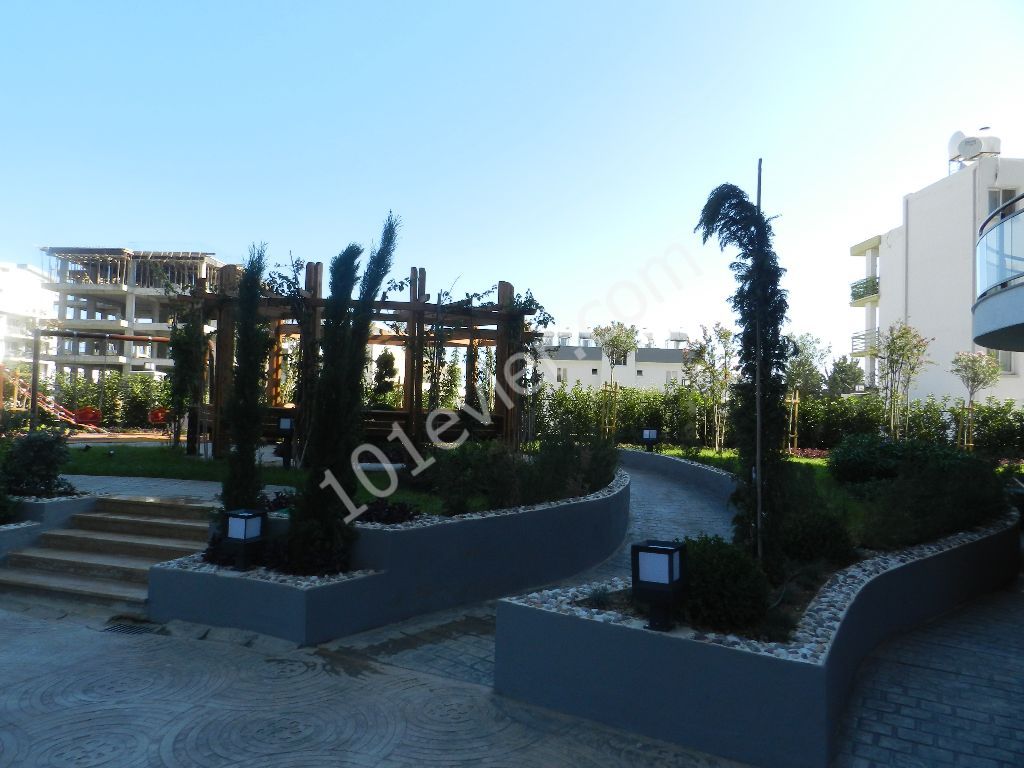 تخت برای فروش in Girne Merkez, گیرنه