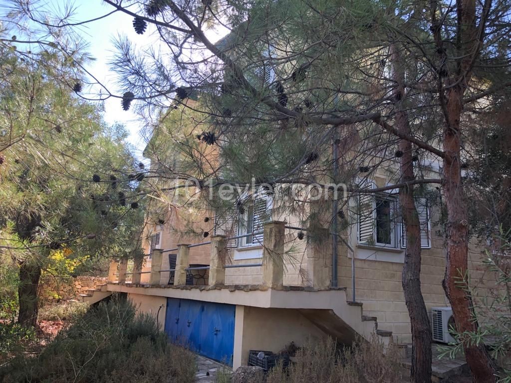 VILLAS FOR SALE IN KYRENIA OLIVE GROVE ** 