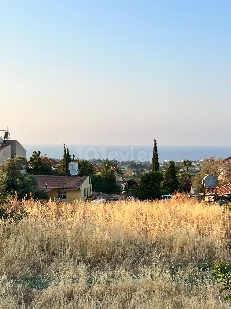 mükmmel manzah  yol var