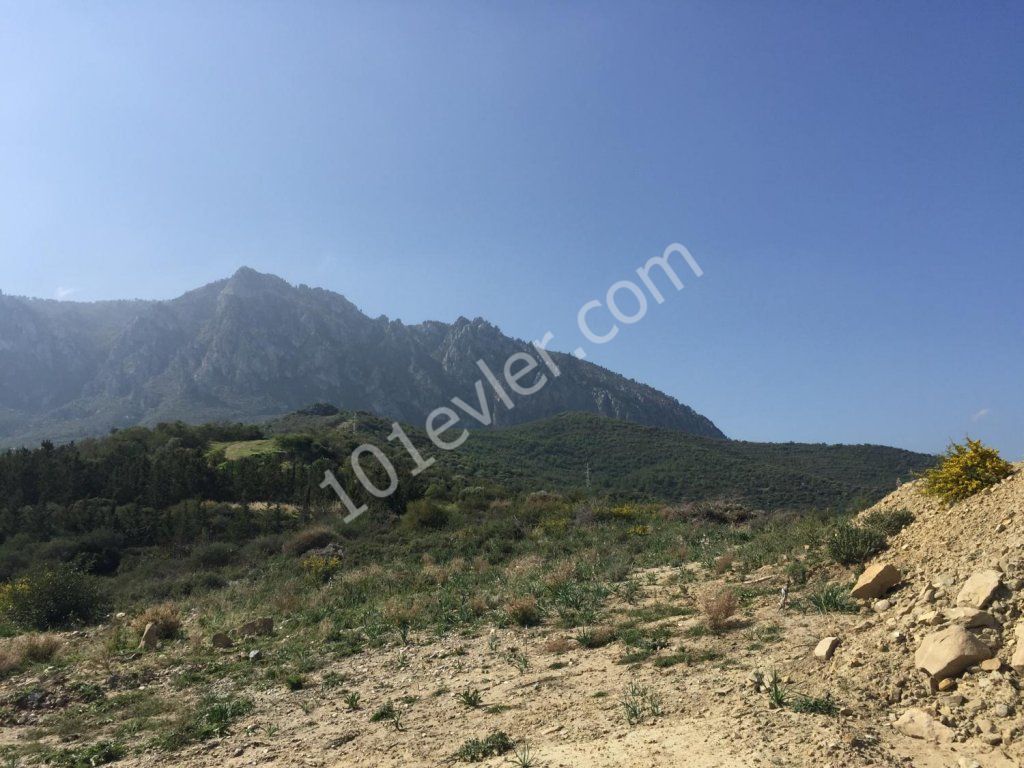 Plot for sale in Edremit