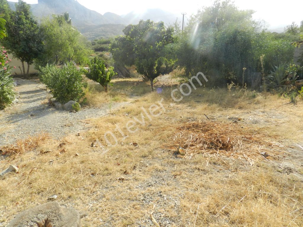 Bungalow Kaufen in Zeytinlik, Kyrenia