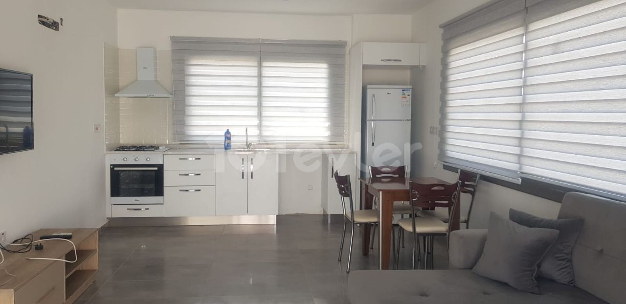 2 + 1 APARTMENT FOR RENT IN METEHAN ! ** 