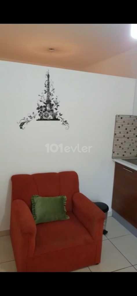 1+1 FLAT FOR RENT TO WOMEN IN GELİBOLU!