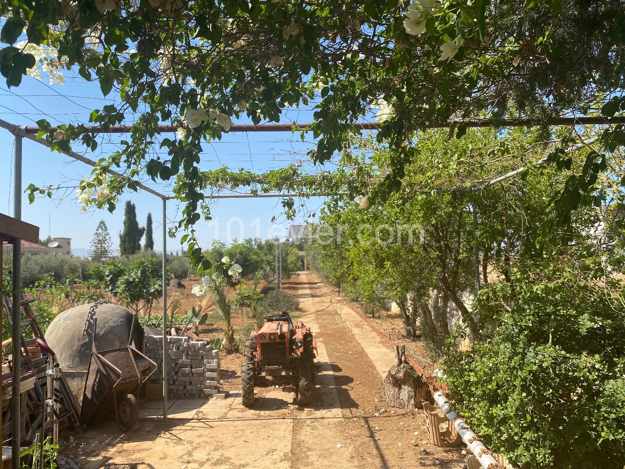 Villa Mieten in Yeni Boğaziçi, Famagusta