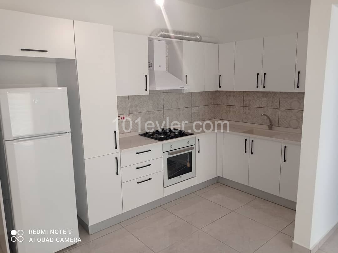 Flat To Rent in Marmara, Nicosia