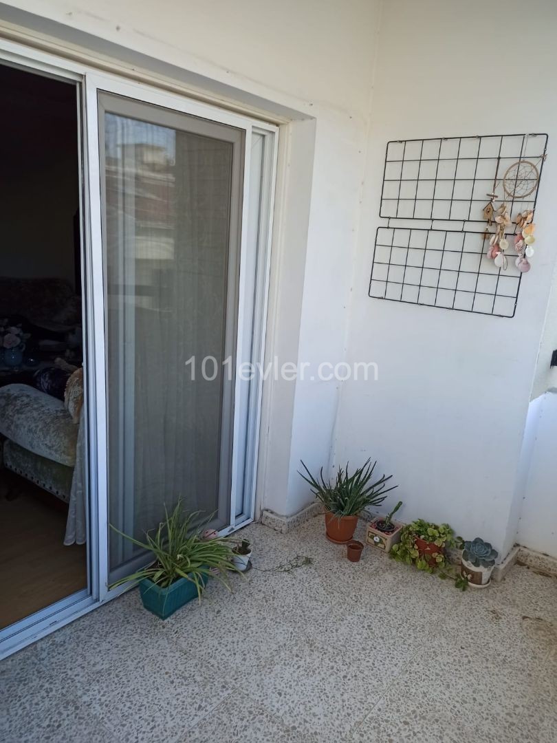 Flat To Rent in Ortaköy, Nicosia