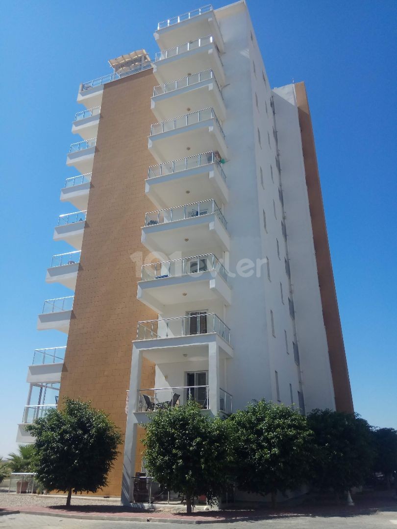 Iskele is a studio apartment for sale in Bolgesin, Long Beach. Квартира -студия на продажу. ** 