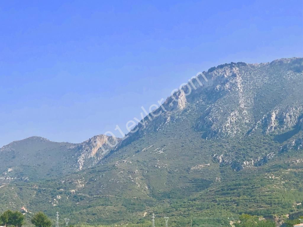 منطقه مسکونی برای فروش in Yukarı Girne, گیرنه