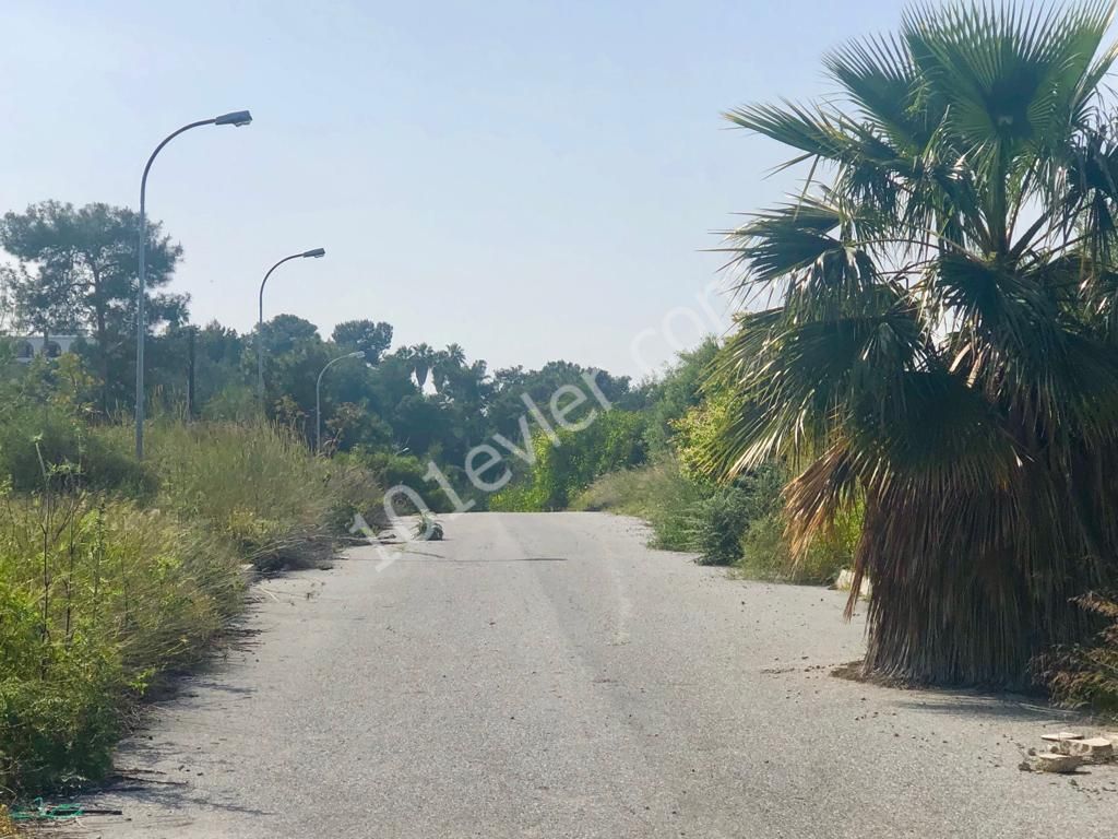 منطقه مسکونی برای فروش in Yukarı Girne, گیرنه