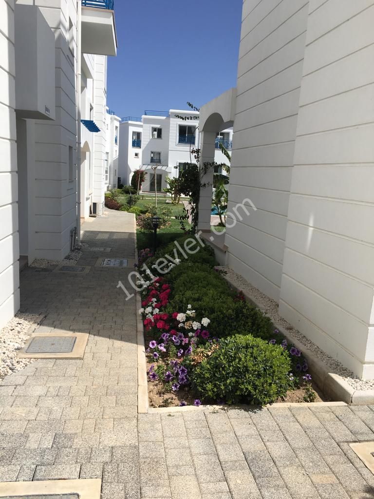 Flat To Rent in Alsancak, Kyrenia