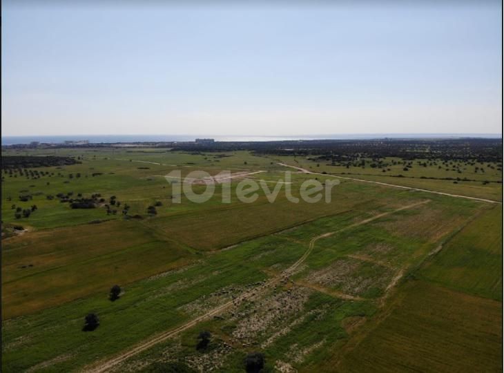 INVESTMENT OPPORTUNITY LANDS FOR SALE IN BAFRA! ** 