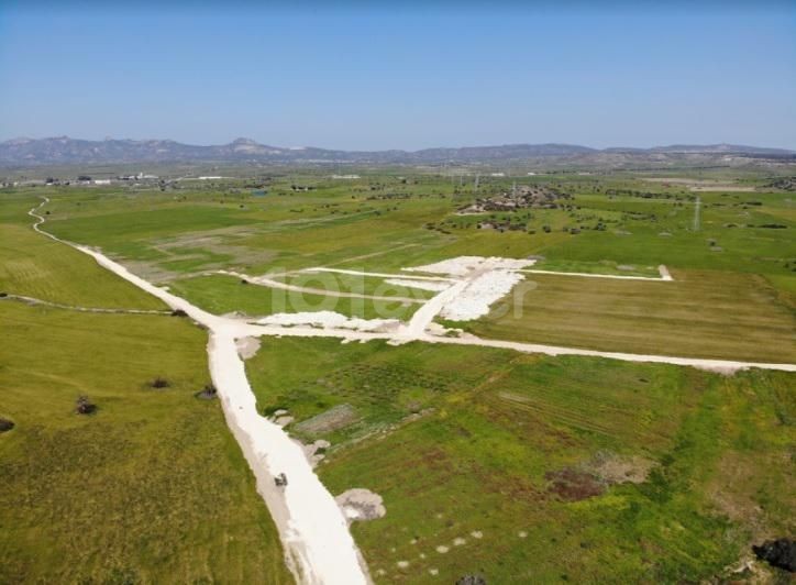 INVESTMENT OPPORTUNITY LANDS FOR SALE IN BAFRA! ** 