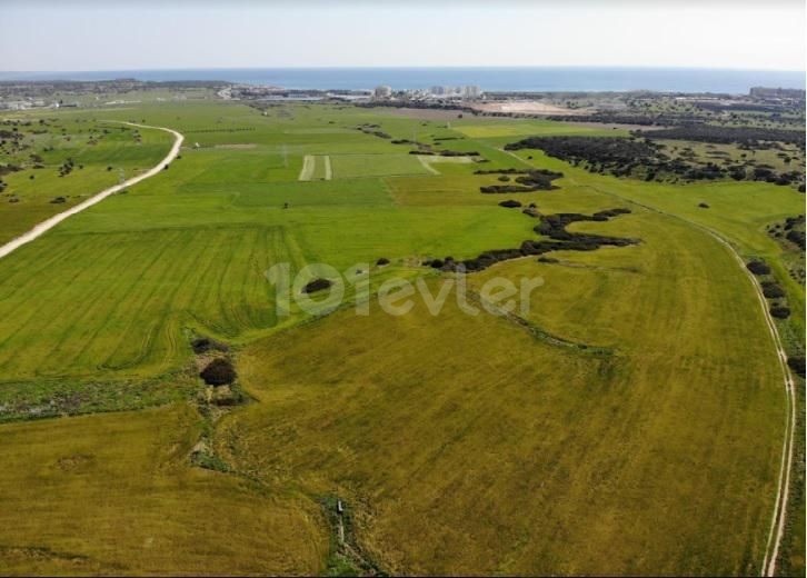 INVESTMENT OPPORTUNITY LANDS FOR SALE IN BAFRA! ** 