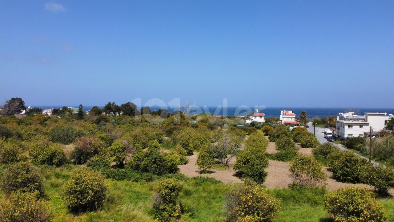 WONDERFUL LOCATED AND SCENIC LAND FOR SALE IN LAPTA! ** 