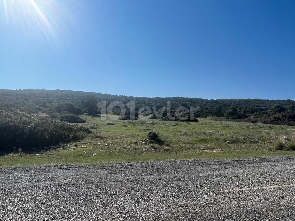 Investment land for sale in Kyrenia sadrazamköy!