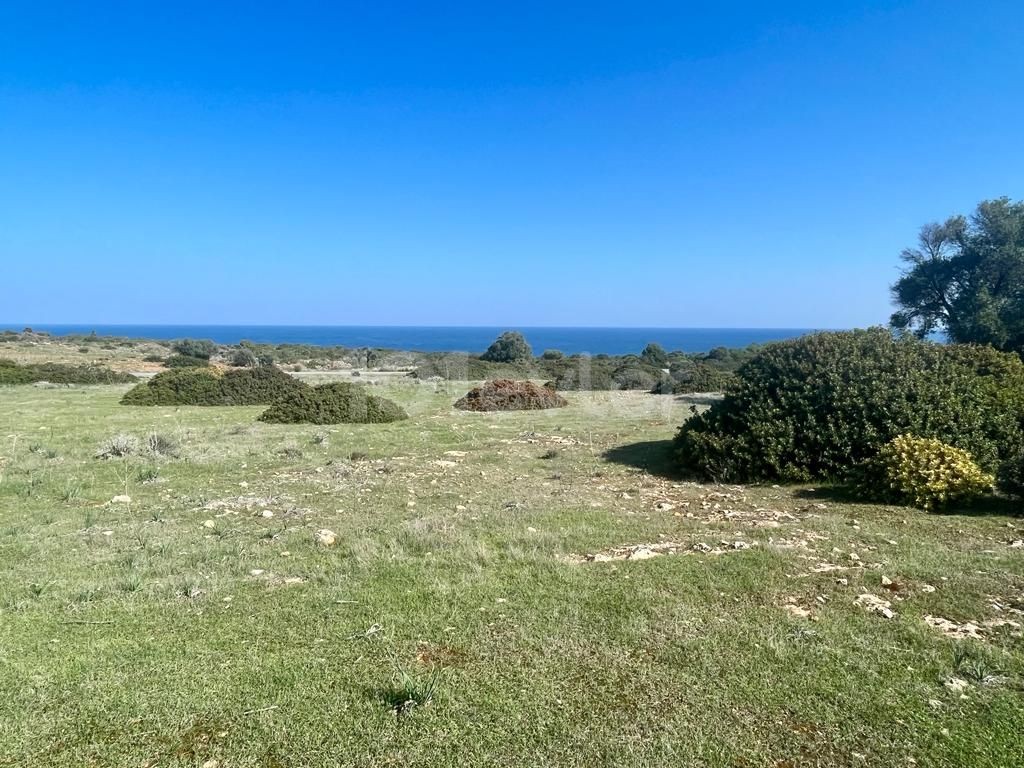 Investment land for sale in Kyrenia sadrazamköy!