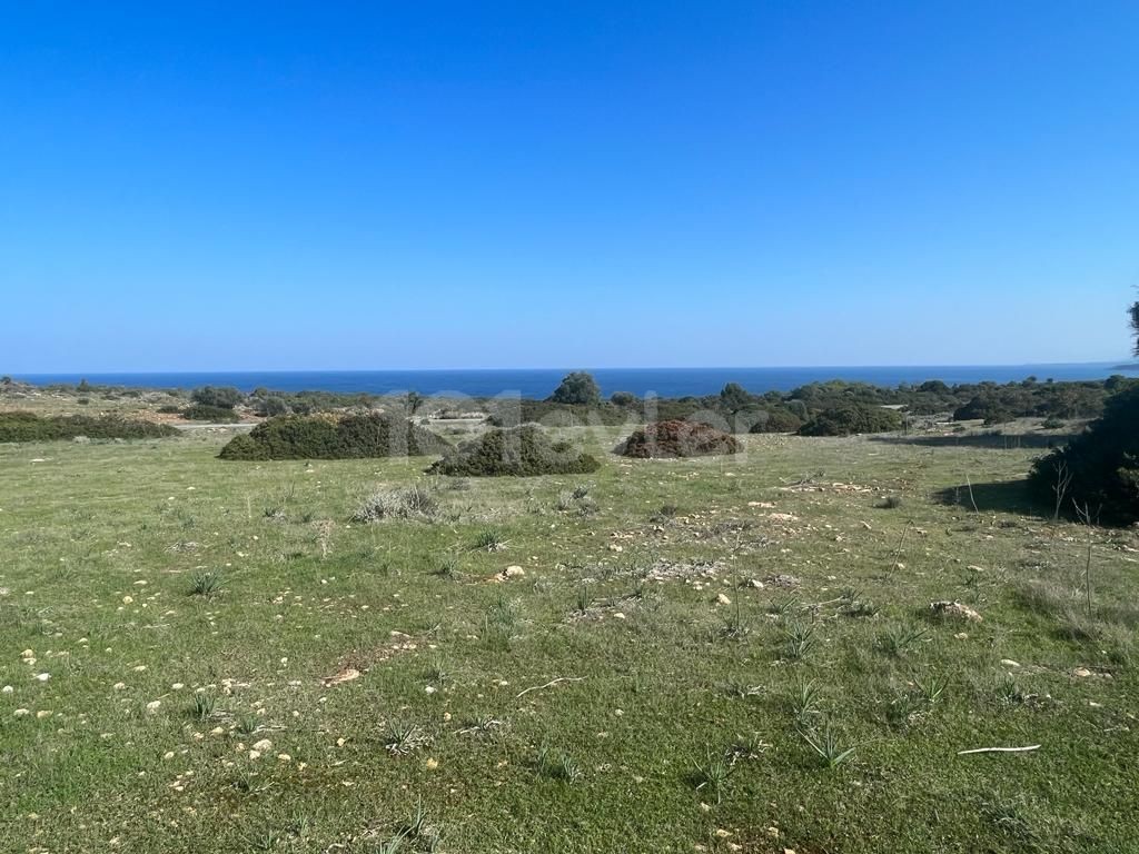 Investment land for sale in Kyrenia sadrazamköy!