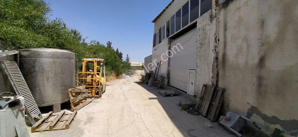 Business For Sale in Haspolat, Nicosia